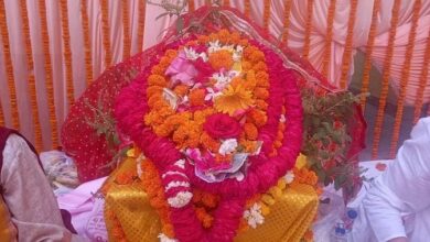 गाडू घड़ा यात्रा के दर्शन के लिए श्रद्धलाुओं की उमड़ी  भीड़