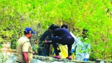 पेड़ से लटका मिला युवक का शव