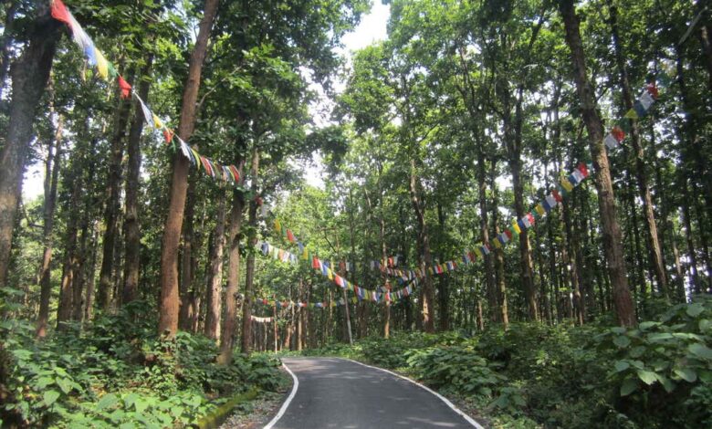जनजीवन को सुरक्षित रखने के लिए पर्यावरण का सुरक्षित रहना बहुत जरूरी