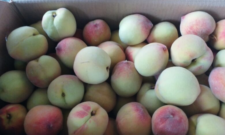 आड़ू में विटामिन सी भरपूर मात्रा में पाया जाता है