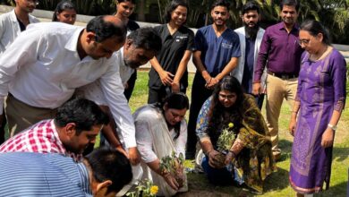 रोपित किए गए फूलों के पौधे