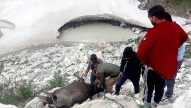 मानवता और मित्र पुलिस का मधुर संयोग