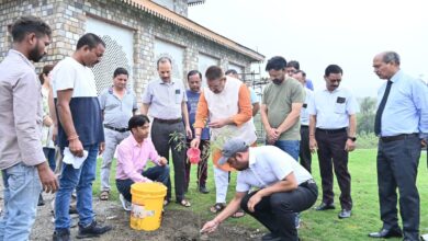 पेड़ों पौधों के कटान से सुख रहे जल स्रोत