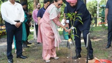 हरियाली को बढ़ावा देने का लिया संकल्प