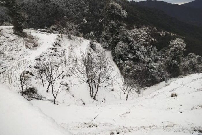 मौसम का बदला मिजाज: धामों में बिछी बर्फ की चादर