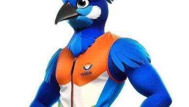 38वें राष्ट्रीय खेल प्रतियोगिताएं दिला रहीं उत्तराखंड को राष्ट्रीय